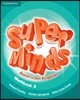 Super Minds American English Level 3 Workbook