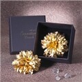 24k ��ī���̼� ���ġ (��ī���̼� �ڻ���)