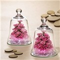�ƴٸ����ö�� ī���̼� Lovely Bell (��ũ)