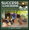 Success with Chickens