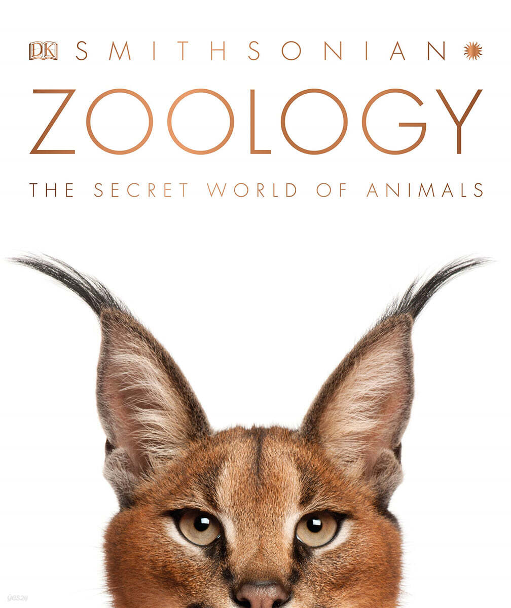 Zoology : the secret world of animals /