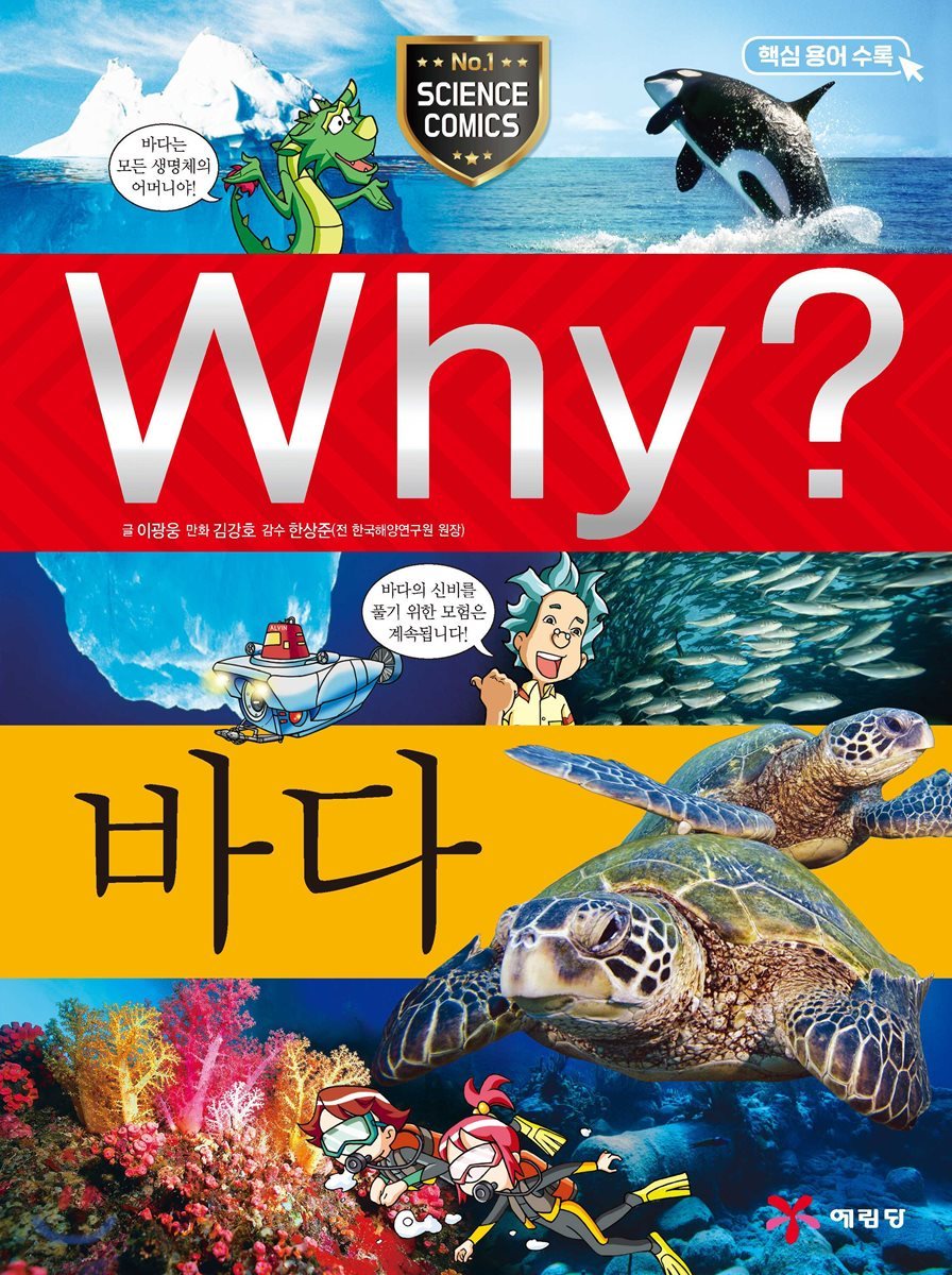 Why? 와이 바다