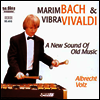 ��������� �����ߵ� (Marimbach & Vibravaldi) - Albrecht Volz