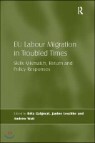 Eu Labour Migration in Troubled Times