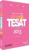 2013 ���̽��� TESAT �»�