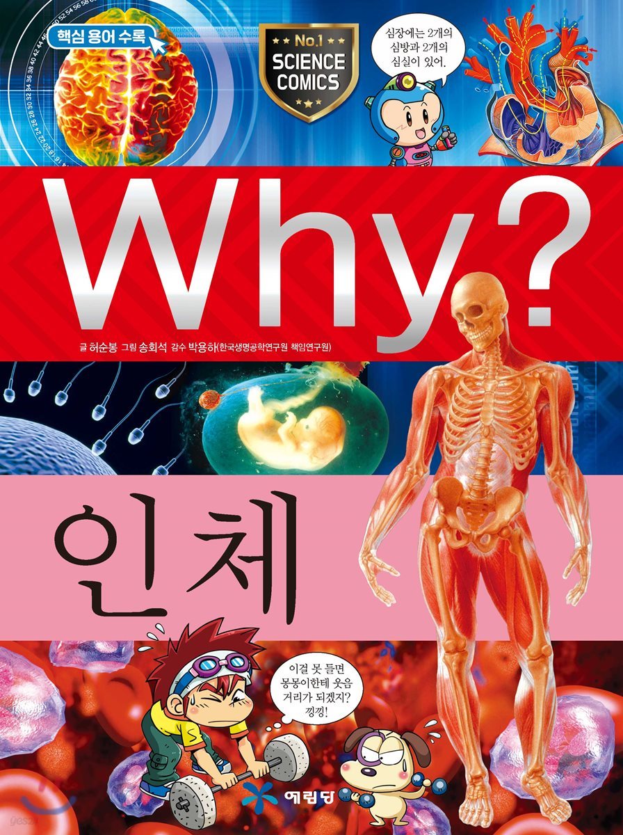 Why? 와이 인체