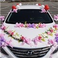 �ڿ���ī��ġ��߻�ƶ� ����ī[����ī����� ������ǰ �̺�Ʈ��ǰ �����ȭ]