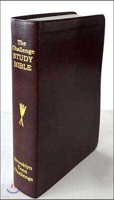CEV Challenge Study Bible-Flexi Cover