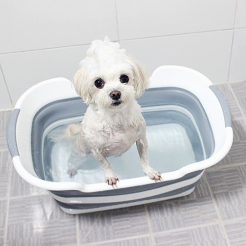 [공간활용! 갓샵 강아지 3단접이식욕조] 애견폴딩목욕통 고양이반려동물