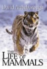 The Life of Mammals