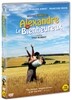 �� ���󿡼� ���� �ູ�� �糪�� (1disc)