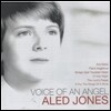 Aled Jones - Voice Of An Angel