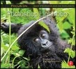 Focus on Photoshop Lightroom