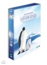 MBC �����Ǵ��� DVD 3 Disc + ȭ����40p