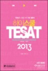 ���̽��� TESAT (2013)