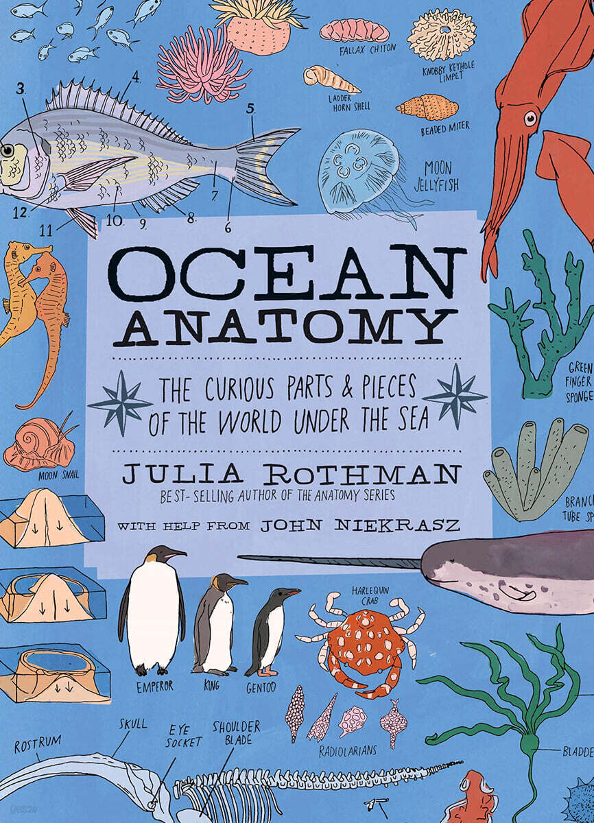 Ocean anatomy : the curious parts & pieces of the world under the sea