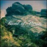 Band Of Horses - Mirage Rock (Download Card)(180G)(LP)