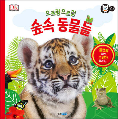 ������ ������ ���� ������