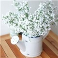 �Ȱ��� ���丮��ȭ��SET