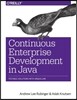 Continuous Enterprise Development in Java