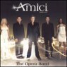 �ƹ̽� ������ - ����� ��� (Amici Forever - Opera Band) - Amici Forever