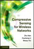 Compressive Sensing for Wireless Networks