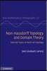 Non-Hausdorff Topology and Domain Theory