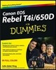 Canon EOS Rebel T4i / 650D for Dummies