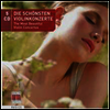��Ȥ�� ���̿ø� ���ְ� ������ (Most Beautiful Violin Concertos) (5CD Boxset) - David & Igor Oistrach
