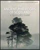 Ancient Pinewoods of Scotland