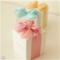 [DBD] ���� ���� �ڽ� - Natural (2set)