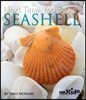 Next Time You See a Seashell