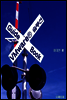 VMware® �ַ�� GuideBook