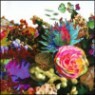 Darkstar - News From Nowhere (CD+Book)