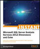 Microsoft SQL Server Analysis Service 2012 Dimensions and Cu