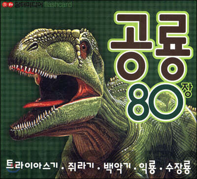 공룡 80장 (플래시카드) 1