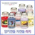 [������/Yankee Candle]��Űĵ�� ��ĵ�� ���� 623g