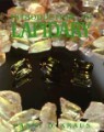 Introduction to Lapidary