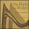 Harp in Wales