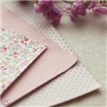 [DAILYLIKE] �к긯 ��ƼĿ 3p - haze