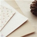 [DAILYLIKE] �к긯 ��ƼĿ 3p - tiny