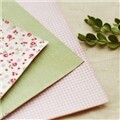 [DAILYLIKE] �к긯 ��ƼĿ 3p - afresh