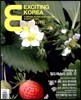 EXCITING KOREA �ͻ����� �ڸ��� (�谣) : 2013�� ��