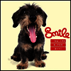 T-Square - Smile (SACD Hybrid+DVD)