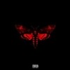 Lil Wayne - I Am Not A Human Being II