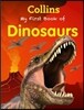 My First Book of Dinosaurs