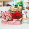�����2ȣ+��������ٱ���(����̳�,�����ǳ�,ī���̼�,����)