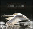 Winged Encounters