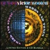 Victor Wooten - Sword And Stone / Words And Tones