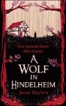 Wolf in Hindelheim